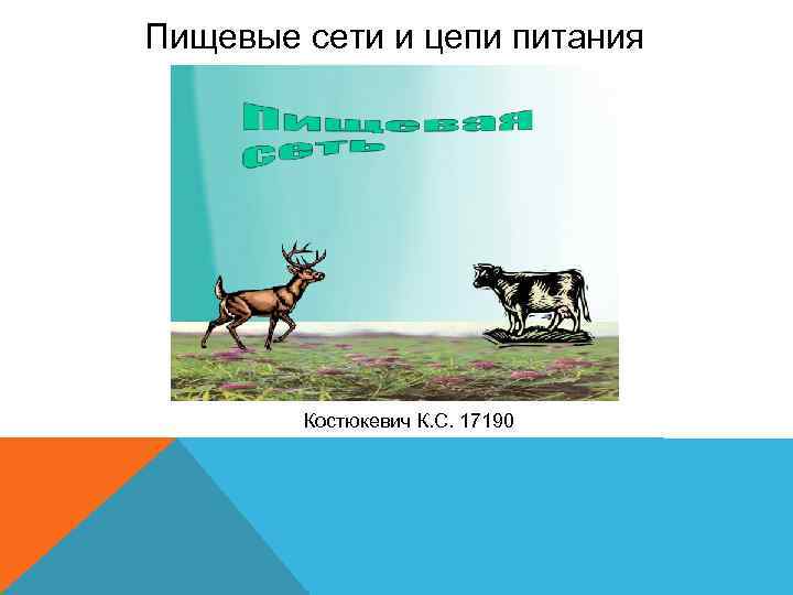 Пищевые сети и цепи питания Костюкевич К. С. 17190 