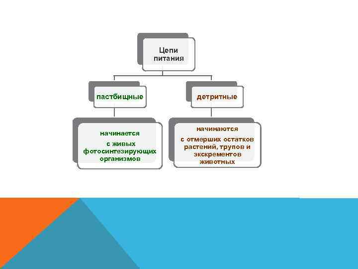 Цепи питания пастбищные начинается с живых фотосинтезирующих организмов детритные начинаются с отмерших остатков растений,