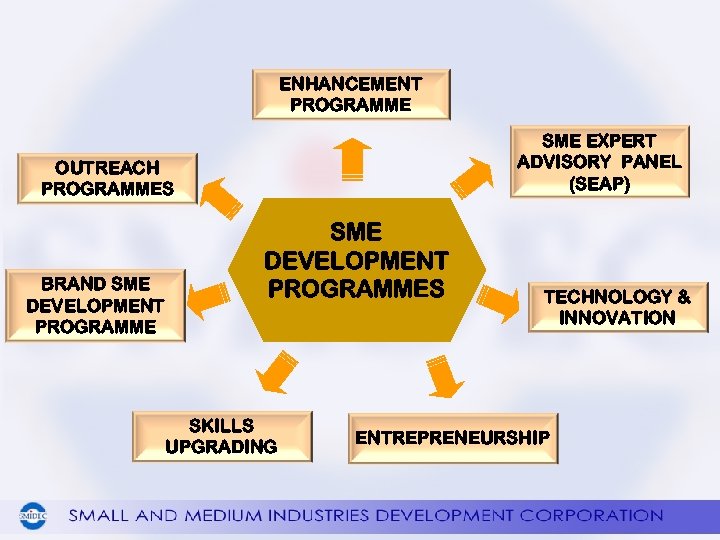 ENHANCEMENT PROGRAMME SME EXPERT ADVISORY PANEL (SEAP) OUTREACH PROGRAMMES BRAND SME DEVELOPMENT PROGRAMMES SKILLS