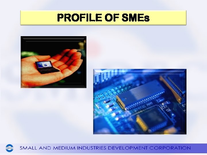 PROFILE OF SMEs 