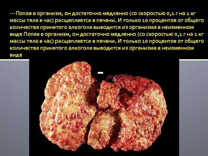 ---Попав в организм, он достаточно медленно (со скоростью 0, 1 г на 1 кг