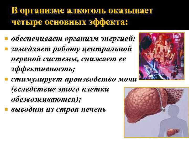 В организме алкоголь оказывает четыре основных эффекта: обеспечивает организм энергией; замедляет работу центральной нервной