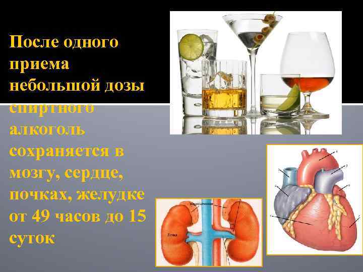 После одного приема небольшой дозы спиртного алкоголь сохраняется в мозгу, сердце, почках, желудке от