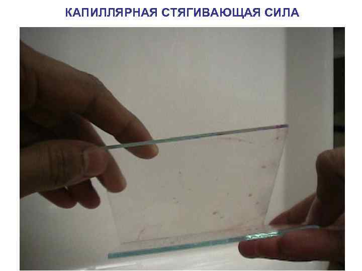КАПИЛЛЯРНАЯ СТЯГИВАЮЩАЯ СИЛА 