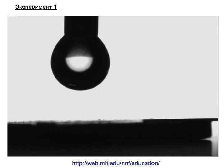 Эксперимент 1 http: //web. mit. edu/nnf/education/ 