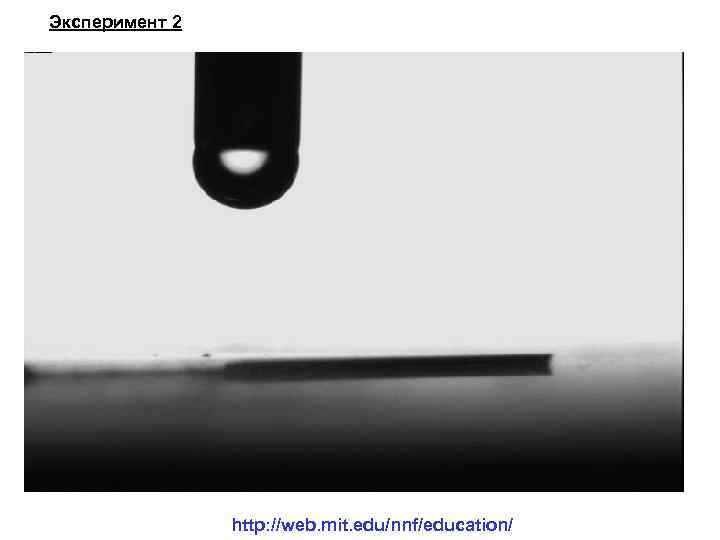 Эксперимент 2 http: //web. mit. edu/nnf/education/ 