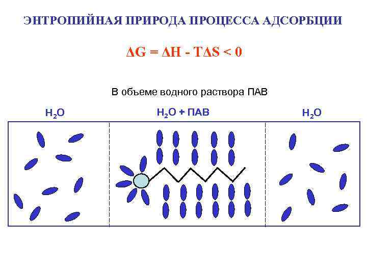ЭНТРОПИЙНАЯ ПРИРОДА ПРОЦЕССА АДСОРБЦИИ ΔG = ΔH - TΔS < 0 В объеме водного