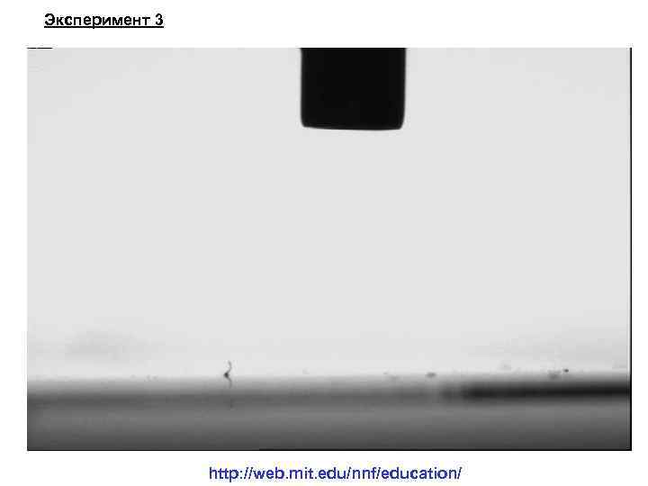 Эксперимент 3 http: //web. mit. edu/nnf/education/ 