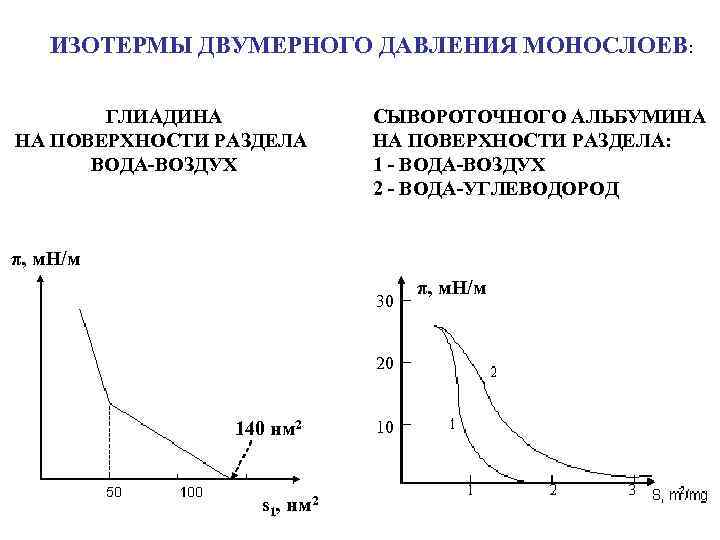 ИЗОТЕРМЫ ДВУМЕРНОГО ДАВЛЕНИЯ МОНОСЛОЕВ: ГЛИАДИНА НА ПОВЕРХНОСТИ РАЗДЕЛА ВОДА-ВОЗДУХ СЫВОРОТОЧНОГО АЛЬБУМИНА НА ПОВЕРХНОСТИ РАЗДЕЛА: