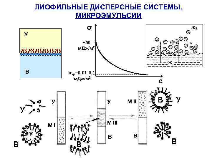 ЛИОФИЛЬНЫЕ ДИСПЕРСНЫЕ СИСТЕМЫ. МИКРОЭМУЛЬСИИ σ У ~50 м. Дж/м 2 В σкр=0, 01 -0,