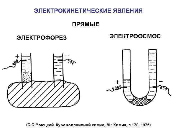 ЭЛЕКТРОКИНЕТИЧЕСКИЕ ЯВЛЕНИЯ ПРЯМЫЕ ЭЛEКТРОФОРЕЗ ЭЛЕКТРООСМОС (С. С. Воюцкий. Курс коллоидной химии, М. : Химия,