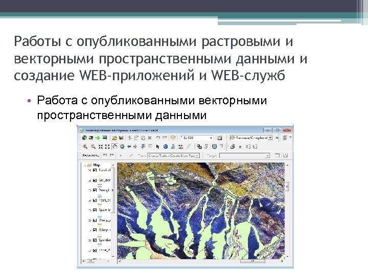 Работы с опубликованными растровыми и векторными пространственными данными и создание WEB-приложений и WEB-служб •