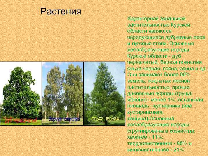 Растения Характерной зональной растительностью Курской области являются чередующиеся дубравные леса и луговые степи. Основные