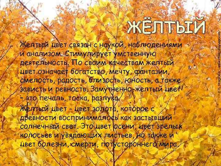 ЖЁЛТЫЙ Желтый цвет связан с наукой, наблюдениями и анализом. Стимулирует умственную деятельность. По своим