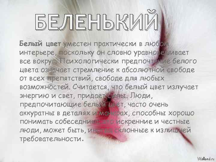 БЕЛЕНЬКИЙ Белый цвет уместен практически в любом интерьере, поскольку он словно уравновешивает все вокруг.