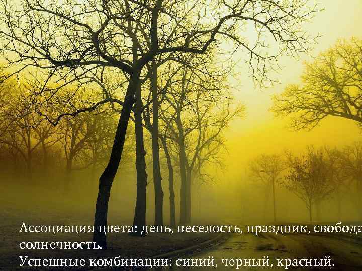 Ассоциация цвета: день, веселость, праздник, свобода солнечность. Успешные комбинации: синий, черный, красный, 