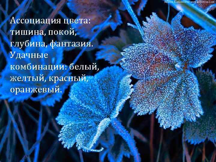 Ассоциация цвета: тишина, покой, глубина, фантазия. Удачные комбинации: белый, желтый, красный, оранжевый. 