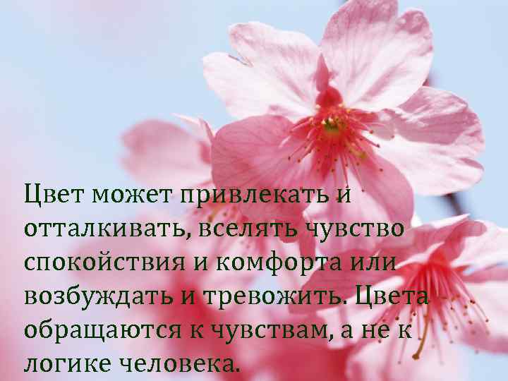 Цвет может привлекать и отталкивать, вселять чувство спокойствия и комфорта или возбуждать и тревожить.