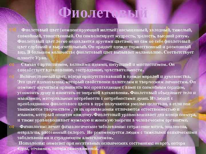 Цвет Ауры Фиолетовый