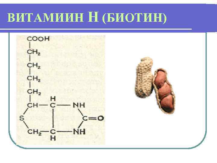 ВИТАМИИН Н (БИОТИН) 