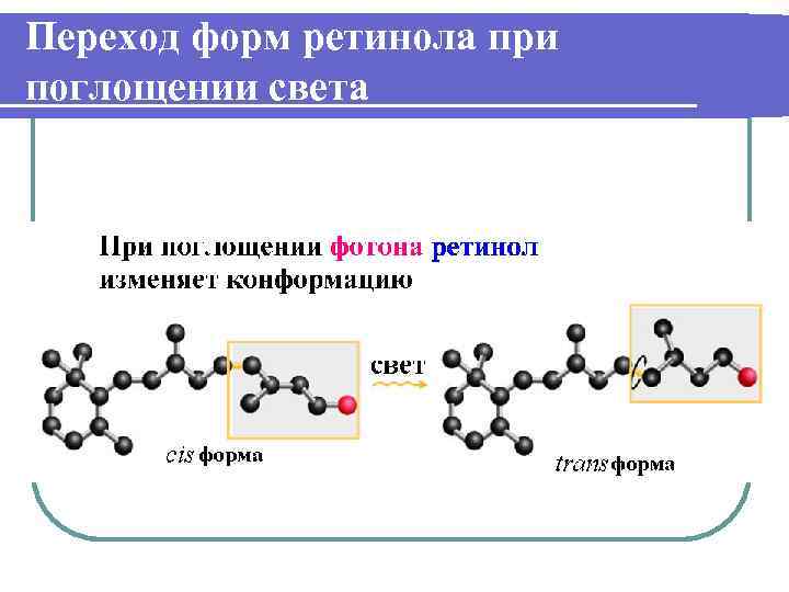 Переход форм ретинола при поглощении света 