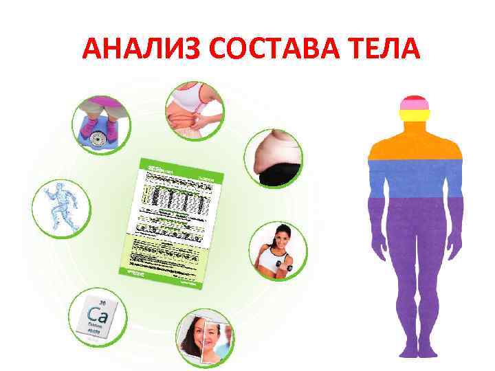 АНАЛИЗ СОСТАВА ТЕЛА 
