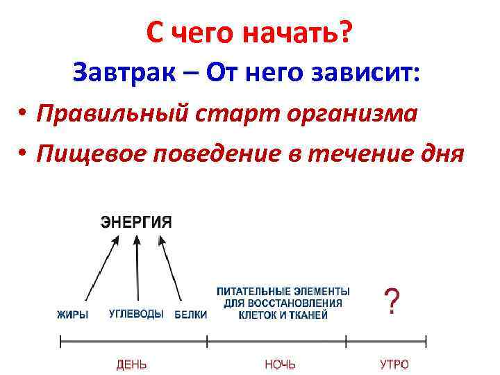 С чего начать? Завтрак – От него зависит: • Правильный старт организма • Пищевое