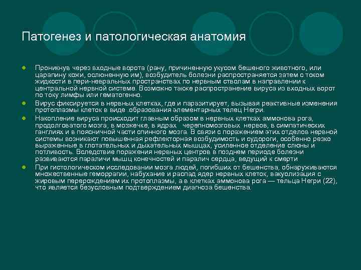 Патогенез и патологическая анатомия l l Проникнув через входные ворота (рану, причиненную укусом бешеного