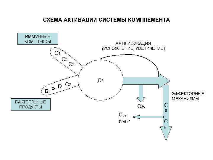 Активационная терапия схема