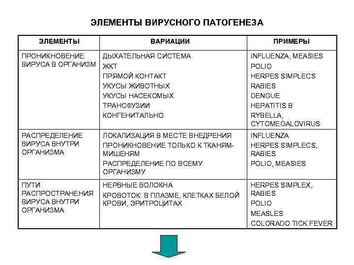 ЭЛЕМЕНТЫ ВИРУСНОГО ПАТОГЕНЕЗА ЭЛЕМЕНТЫ ВАРИАЦИИ ПРИМЕРЫ ПРОНИКНОВЕНИЕ ДЫХАТЕЛЬНАЯ СИСТЕМА ВИРУСА В ОРГАНИЗМ ЖКТ ПРЯМОЙ