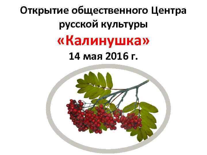 Открытие общественного Центра русской культуры «Калинушка» 14 мая 2016 г. 