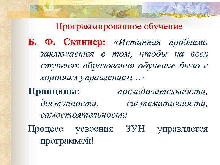 Программированное обучение. Теория программированного обучения Скиннера. Б Скиннер программированное обучение. Теория программированного обучения б.Скиннер. Основные принципы программированного обучения.