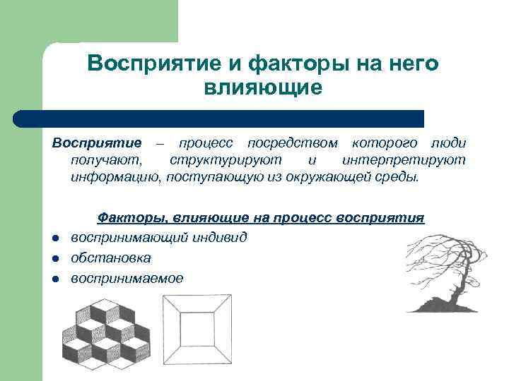 Восприятие и факторы на него влияющие Восприятие – процесс посредством которого люди получают, структурируют