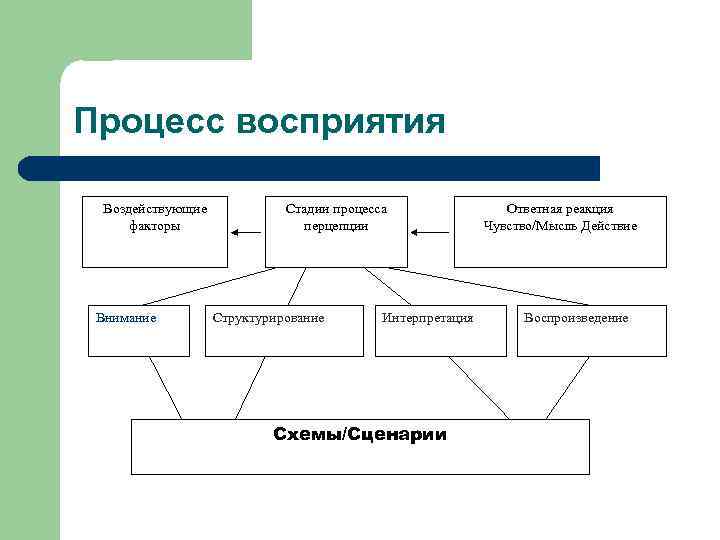 Факторы влияющие на понимание пдд детьми