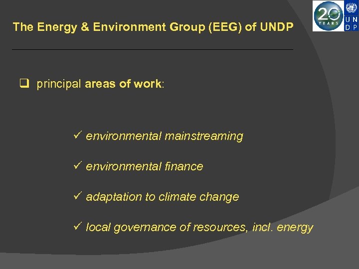 The Energy & Environment Group (EEG) of UNDP q principal areas of work: ü