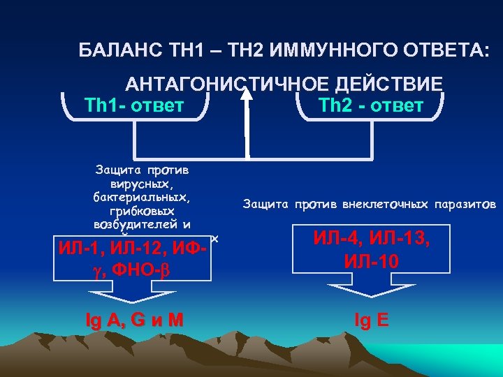 БАЛАНС TH 1 – TH 2 ИММУННОГО ОТВЕТА: АНТАГОНИСТИЧНОЕ ДЕЙСТВИЕ Th 2 - ответ