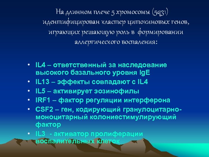 На длинном плече 5 хромосомы (5 q 31) идентифицирован кластер цитокиновых генов, играющих решающую