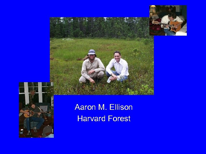 Aaron M. Ellison Harvard Forest 