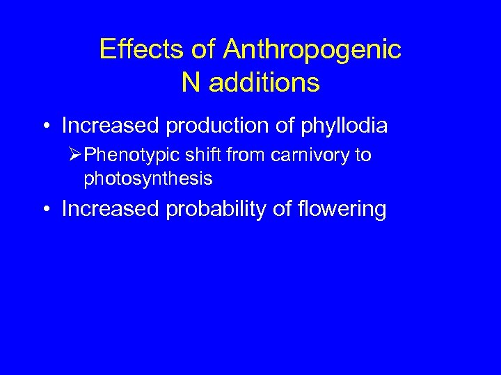 Effects of Anthropogenic N additions • Increased production of phyllodia ØPhenotypic shift from carnivory