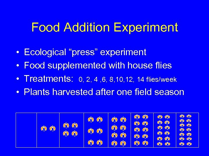 Food Addition Experiment • • Ecological “press” experiment Food supplemented with house flies Treatments: