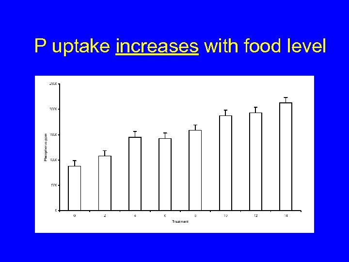 P uptake increases with food level 