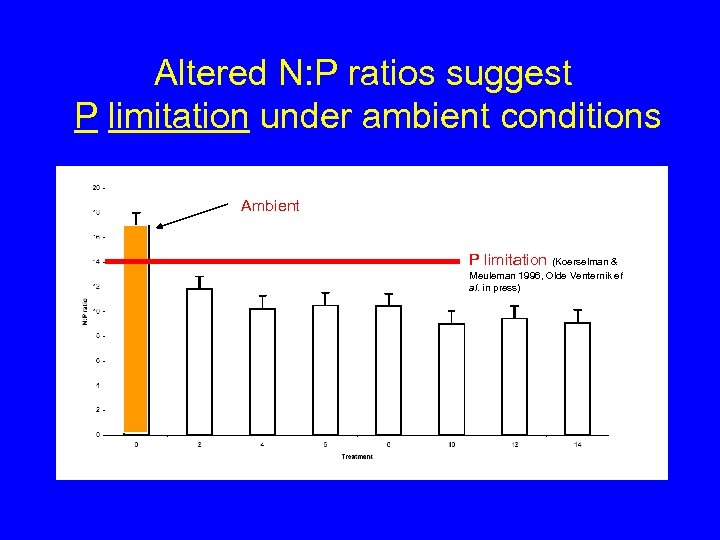 Altered N: P ratios suggest P limitation under ambient conditions Ambient P limitation (Koerselman