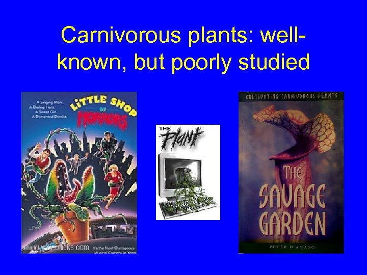 Carnivorous plants: wellknown, but poorly studied 