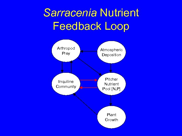 Sarracenia Nutrient Feedback Loop Arthropod Prey Atmospheric Deposition Inquiline Community Pitcher Nutrient Pool [N,