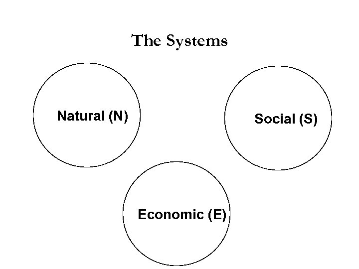 The Systems Natural (N) Social (S) Economic (E) 