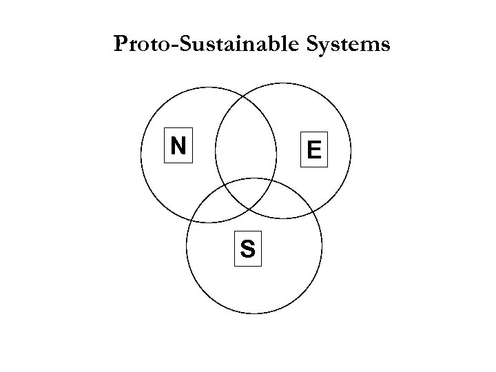 Proto-Sustainable Systems N E S 