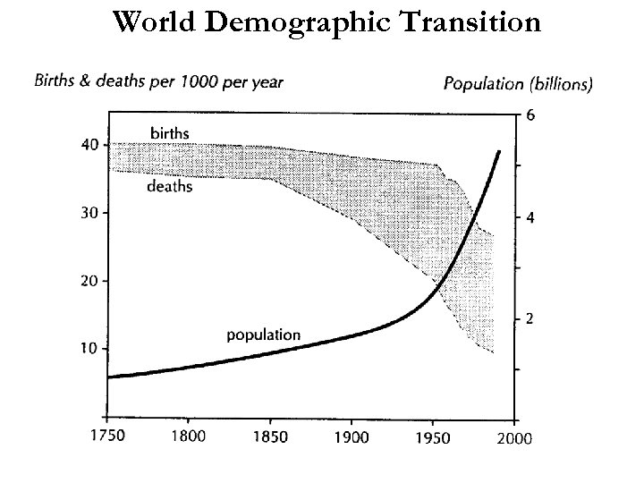 World Demographic Transition 