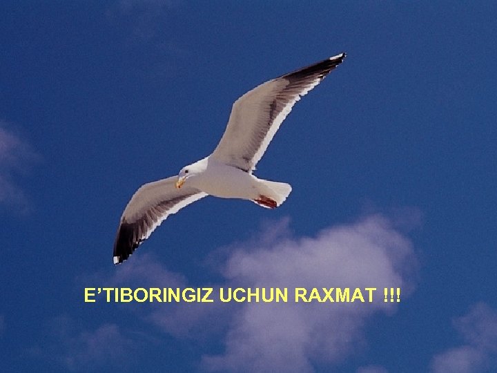 E’TIBORINGIZ UCHUN RAXMAT !!! 11 