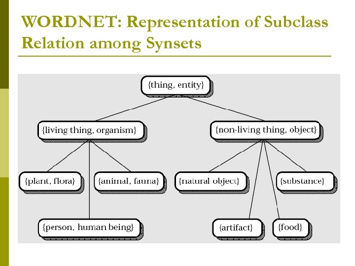 WORDNET: Representation of Subclass Relation among Synsets 