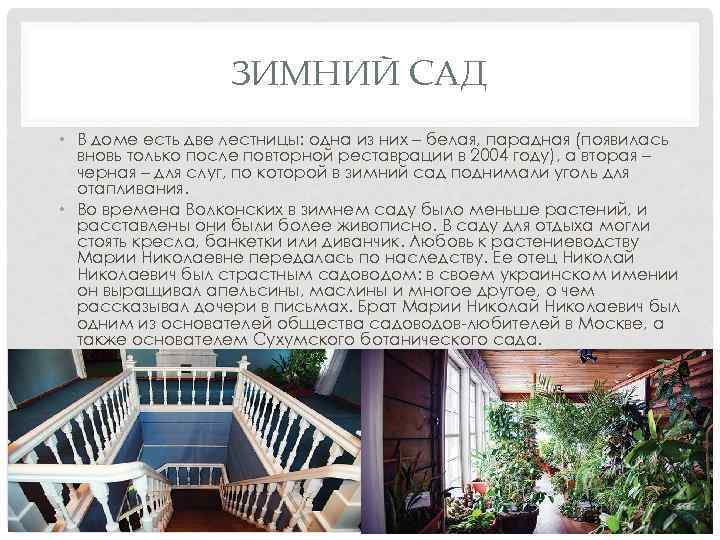 ЗИМНИЙ САД • В доме есть две лестницы: одна из них – белая, парадная
